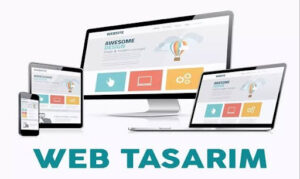 Ankara Web Tasarım Firmaları